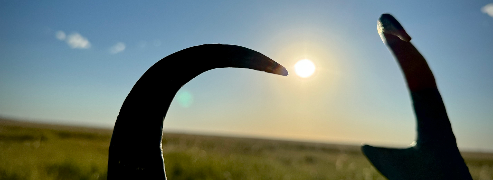 collection-banner-image